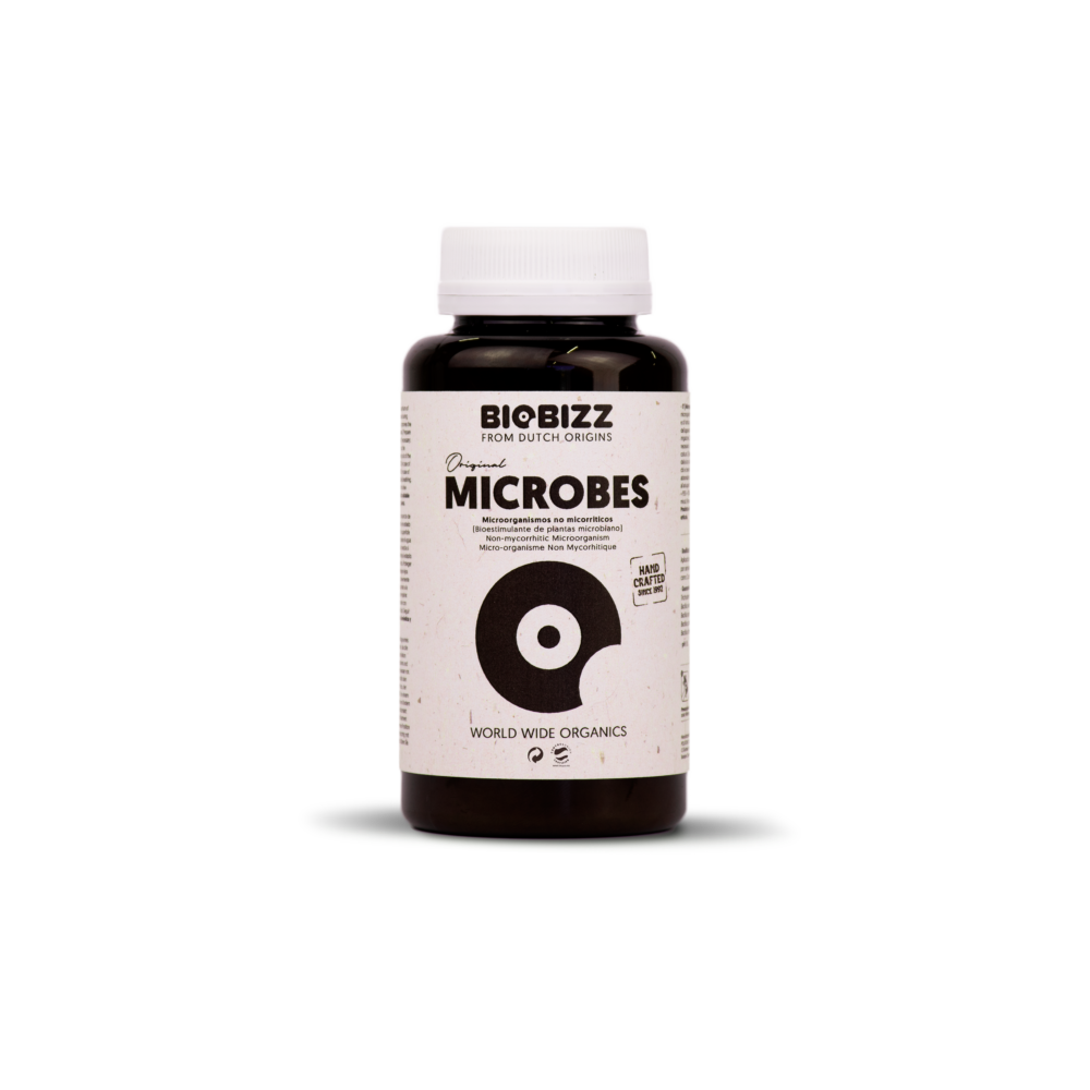 MICROBES - Active microorganism