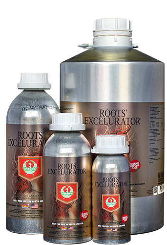 Root Excelurator Silver
