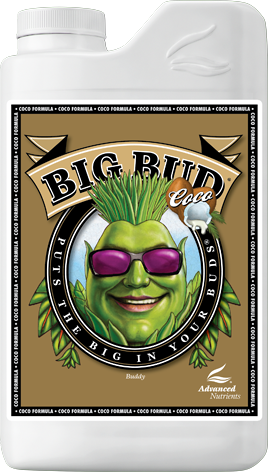 Big Bud® Coco