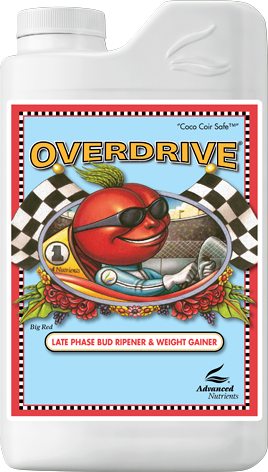 Overdrive® Late Flowering Phase