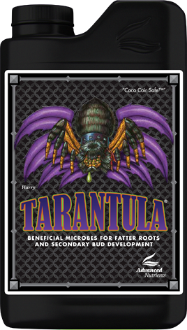 Tarantula