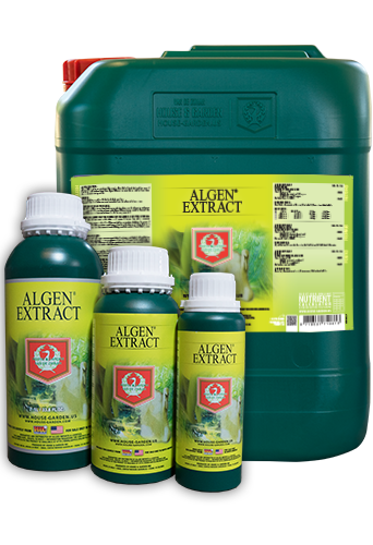 Algen Extract