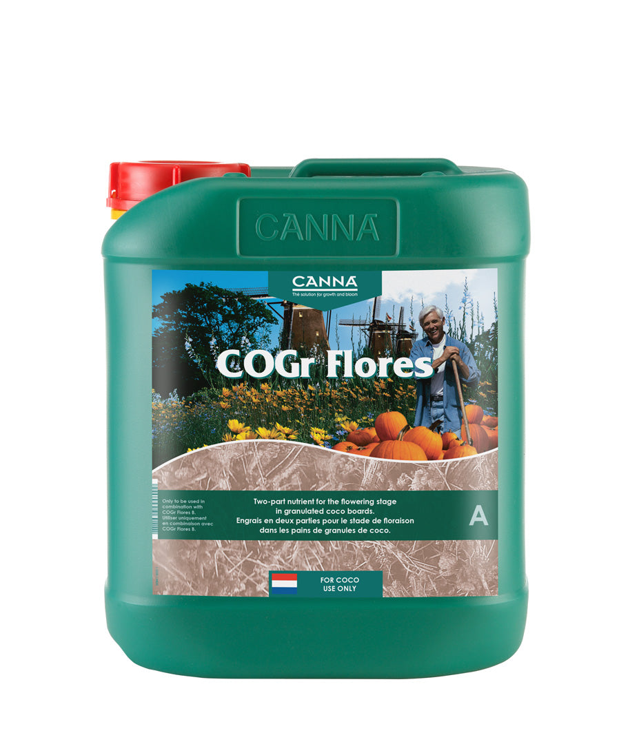 CANNA COGr Flores A