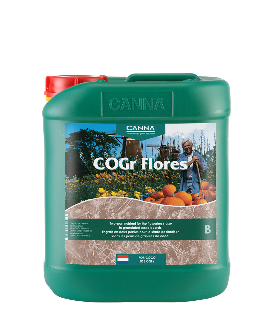 CANNA COGr Flores B