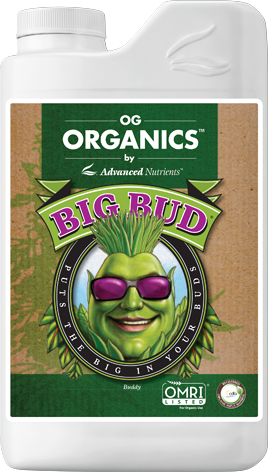 Big Bud Organic