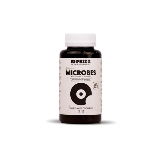 MICROBES - Active microorganism