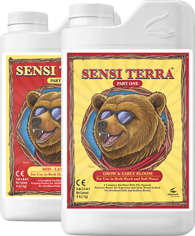 Sensi Terra Part One