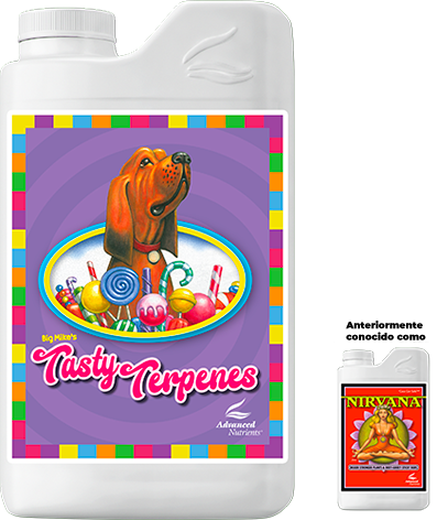 Tasty Terpenes (Nirvana)